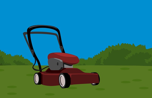 Land Area of Lawn
