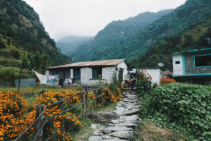 garden